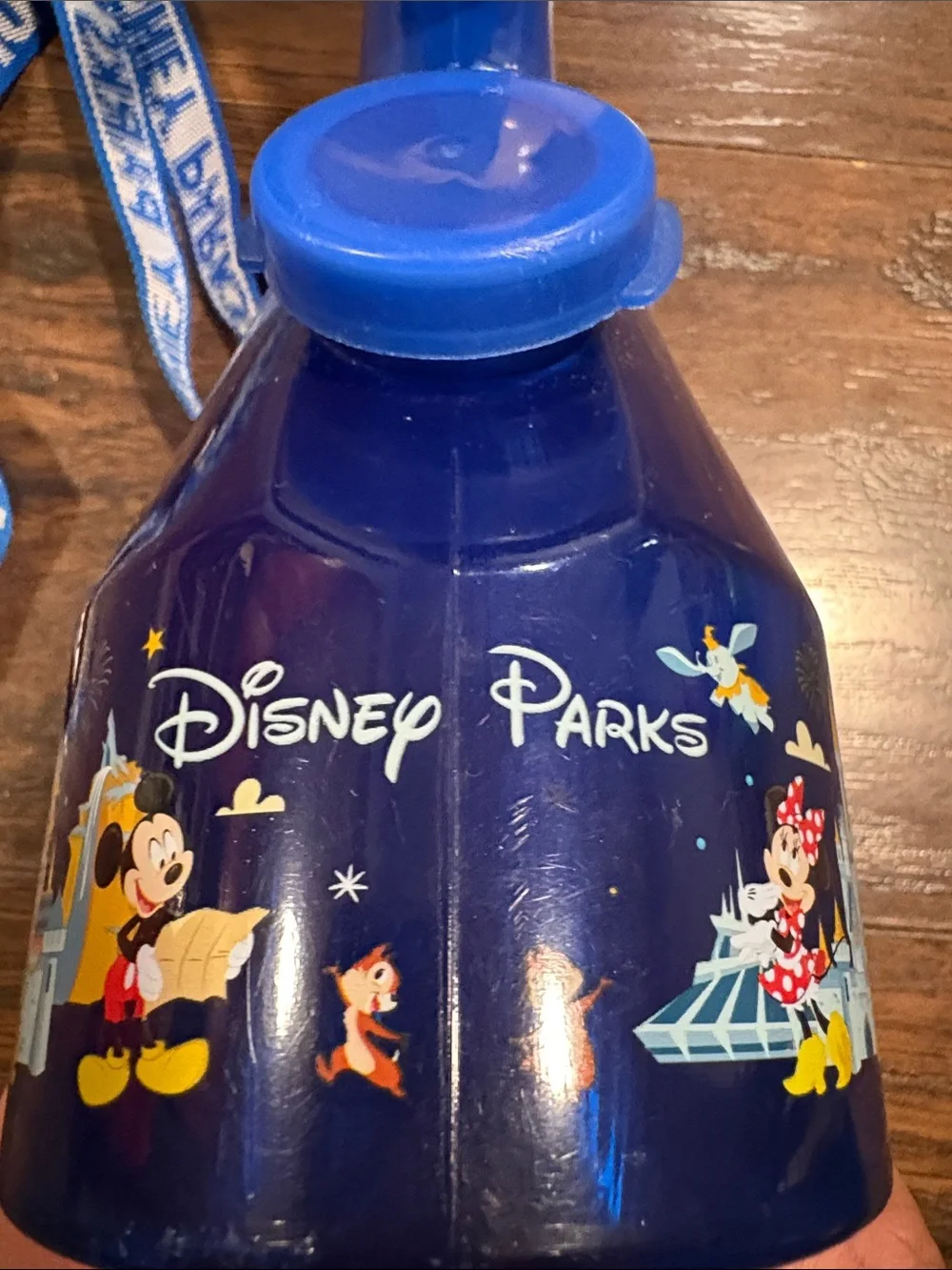 Disney portable handheld